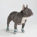 Hot Pavement Pawtector Hundeschuhe - Teal