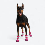 Flex Shell Wasserabweisende Hundestiefel - Fuchsia Camo
