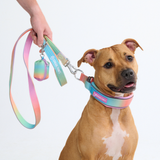 Pastel Icing Collar||size:C,D,E