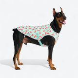 Dog Cooling Vest - Watermelon