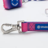 Freihand-4-in-1-Multifunktionsleine & Kotbeutelhalter-Set – Schneekegel