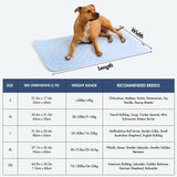 Hearts Blue||size:S,M,L,XL,2XL