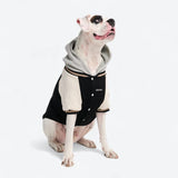 Dog Varsity Jacket - Black