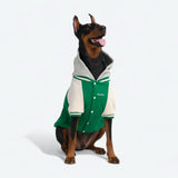 Hund-Collegejacke - Grün