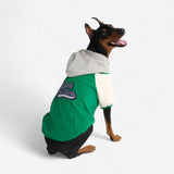 Hund-Collegejacke - Grün