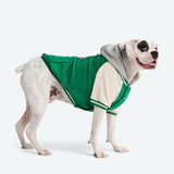 Hund-Collegejacke - Grün
