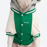 Hund-Collegejacke - Grün