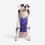 Hund-Collegejacke - Lila