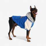 Hund-Collegejacke - Blau