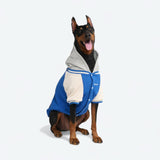 Dog Varsity Jacket - Blue