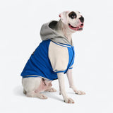 Hund-Collegejacke - Blau