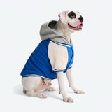 Dog Varsity Jacket - Blue