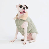 Cordjacke mit Sherpa-Fleece - Minze