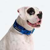 Comfort Control Collar Set - Blue Camo