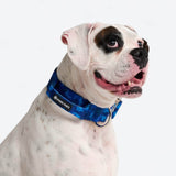 Blue Camo Collar