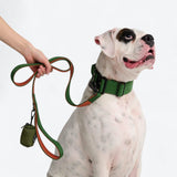 Leash and Poop Bag Holder Set - Green Orange