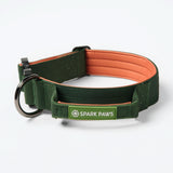 Komfort-Kontrollhalsband - Grün Orange
