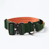 Komfort-Kontrollhalsband - Grün Orange