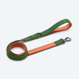 Komfort-Kontrollhalsband - Grün Orange