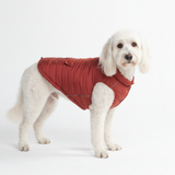 Crimson Warmshield Jacket||size:2XL