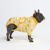 Sunshine Surgical Suit||size:L,XL