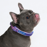 90s Retro Collar||size:A,B