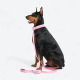 Pink Neoprene Leash