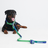 Komfort-Kontrolle No-Pull Hundegeschirr set - Limewelle