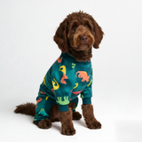 Dinosaurs PJ||size:2XL