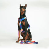 Kaleidoscope Neoprene Leash