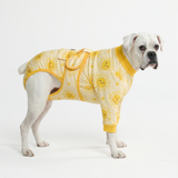 Sunshine Surgical Suit||size:3XL,4XL