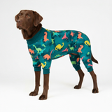 Dinosaurs PJ||size:3XL,4XL