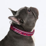 Fuchsia Camo Martingale Collar||size:A,B