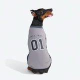 Football Mesh Jersey - Grey