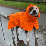 Dog Raincoat - Orange||size:S,M,L,XL,2XL,3XL,4XL