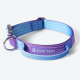 Taktisches Hundehalsband - und Leinen-Set - 90s Retro