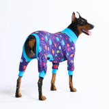 Hunde Pyjama - Planeten