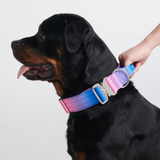 Taktisches Halsband für große Hunde - Rosa-Blau