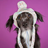Gestrickte Hunde Pom Pom Mütze - Mehrfarbig
