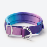 90s Retro Martingale Collar||size:C,D,E
