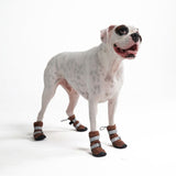 Dog Rainboots, Waterproof Dog Shoes - Brown