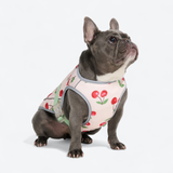 Cherries Cooling Vest||size:L,XL,2XL