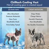 Cherries Cooling Vest||size:S,M,L,XL,2XL,3XL,4XL