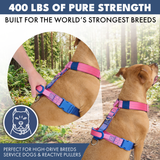 Snow Cone Harness||size:S,M,L