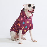 Hundehoodie (weicher Velours)