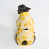 Sunshine Surgical Suit||size:S,M,L,XL,2XL,3XL,4XL,5XL