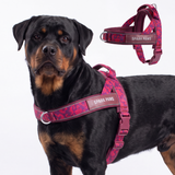 Fuchsia Camo Grab and Go||size:6