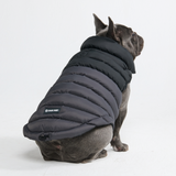 Black PuffShield Jacket||size:L,XL