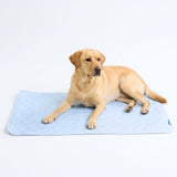 Hearts Blue||size:2XL