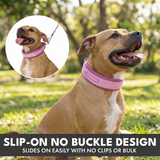 Pink Martingale Collar||size:C,D,E